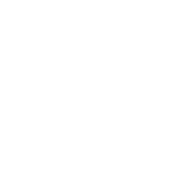 icon1 icon1