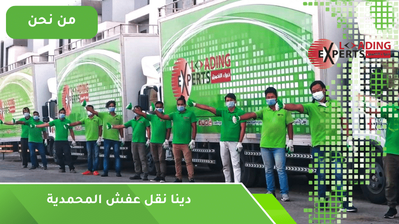 دينا نقل عفش المحمدية